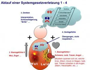 ablauf einer Systemgesetzverletzung